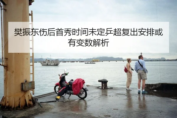 樊振东伤后首秀时间未定乒超复出安排或有变数解析